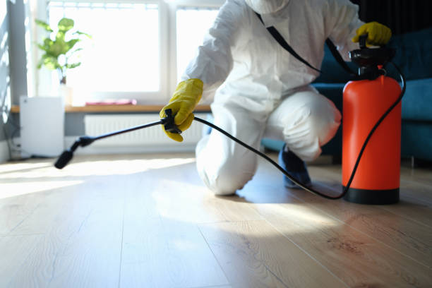 Affordable Sewage Cleanup solutions in Hermitage, PA
